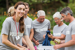 Voluntieering Group